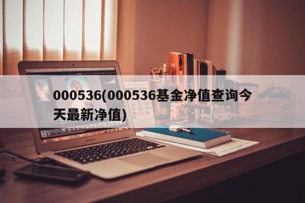 000536(000536基金净值查询今天最新净值)