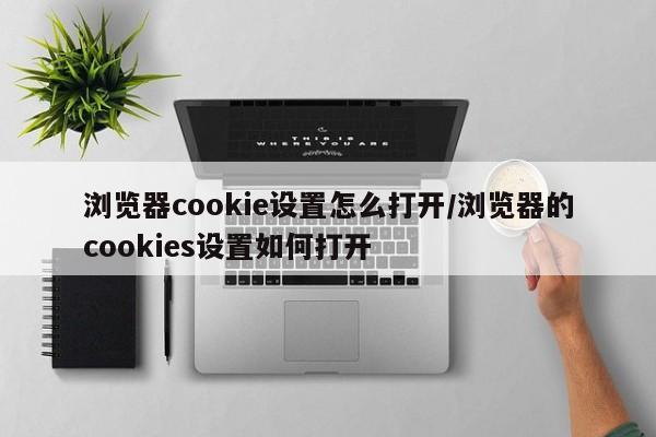 浏览器cookie设置怎么打开/浏览器的cookies设置如何打开