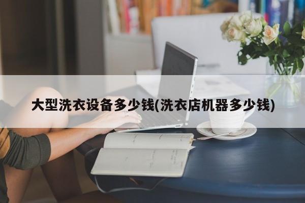 大型洗衣设备多少钱(洗衣店机器多少钱)