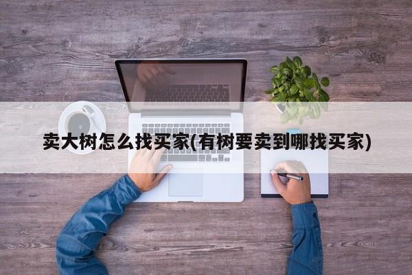 卖大树怎么找买家(有树要卖到哪找买家)