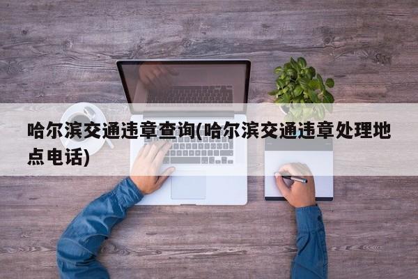 哈尔滨交通违章查询(哈尔滨交通违章处理地点电话)