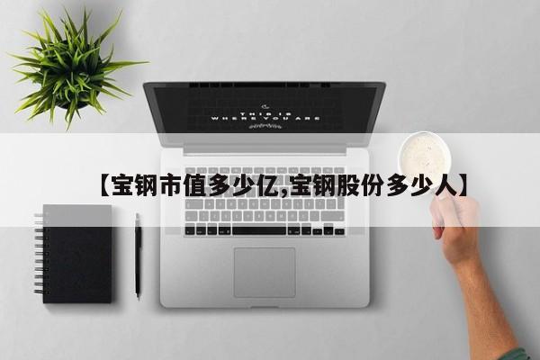 【宝钢市值多少亿,宝钢股份多少人】